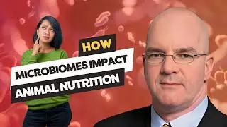 Dr. Benoit St-Pierre: Pig Gut Microbiome