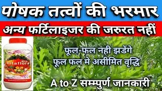 पोषक तत्वों की भरमार अन्य फर्टिलाइजर की जरूरत नहीं / Rirch Vitaflora / Richfield fertilizer