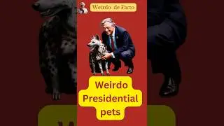 Weirdo presidential pets #weirdfact  #presidentfacts #shorts