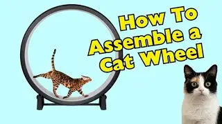 Assembling a Cat Exercise Wheel from One Fast Cat