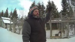 Comment constituer un traineau selon Manitou Mushers