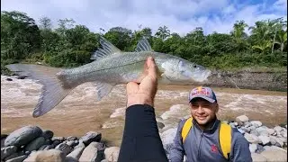Pesca de Robalo rio Terraba zona sur