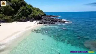 Relaxing Island Reggae Love Vibes Mix 2025 🎧 Smooth Chill Tropical Playlist 🌴 Romantic Vibes