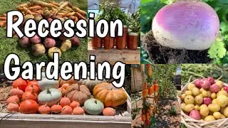 How useful is a veggie garden in a recession?