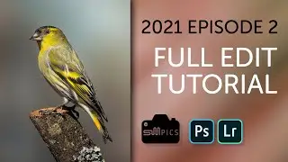 Full Bird Photography Edit Tutorial - Episode 2 - 2021