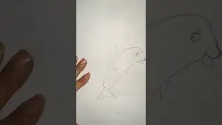 Dolphin Playing Football Drawing Short Video Available in Shorts (Pro Art's)