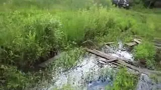 MOV02318