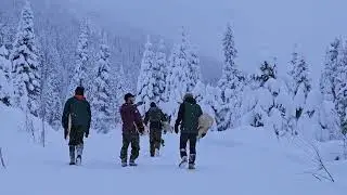No Board Bliss