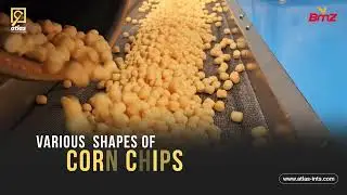Atlas International & Zine Capital Invest | Corn Chips Production Line With Packaging System