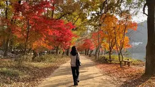 직장인 브이로그 | 인생 단풍구경 남이섬 | 서울빵투어 | 귀걸이 겨울코트 언박싱 | 아프면 다 돈이다 | 합정 이몸이만든 빵 | 망원 투떰즈업 | 곤약누들면 후기 | 망원동 맛집