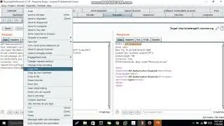 Weak Password  root me Challenge (Web-Server)