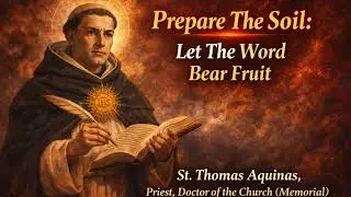 Prepare The Soil: Let The Word Bear Fruit