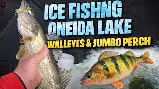 Ice fishing Oneida lake walleyes & jumbo perch