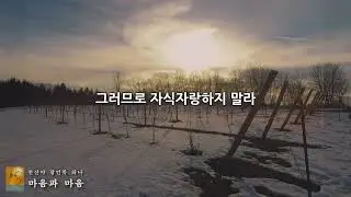#아난존자와정법5 10 #부부의인연 #부부로산다는것 #부부로만나는인연 #인연만드는법