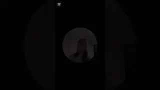 traderlar shetamiszlar