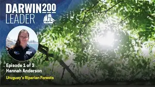 Uruguay's Riparian Forests - by Hannah Anderson - Episode 1