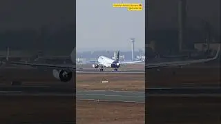 Excellent Top Plane Landing at Europe's Best Airport Frankfurt Germany 🇩🇪  #viral #fun #airport