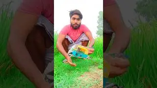 litlle toto  unboxsins  #toto #toys #shorts