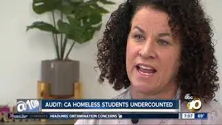 Audit: Homeless students undercounted