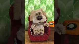 Untitled video