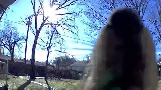 Squirrel curiosity in camera