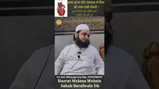 Hasad Bugz Aur Adawat Se Dil Ko Paak Rakho ! Hazrat Molana Mohsin Sahab Barafwale Db #ytshorts