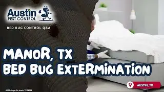 Manor, TX Bed Bug Extermination (512) 777-1339