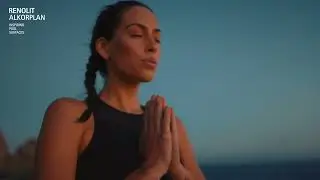 ALIVE Collection - Refresh your soul