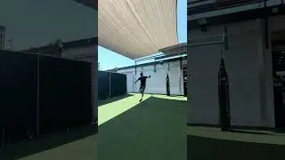 Single Leg 