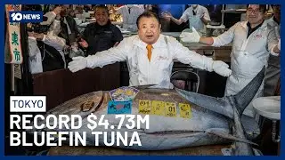 Record-Breaking Bluefin Tuna Sells For $4.73 Million at Tokyo&rsquo;s New Year Auction | 10 News