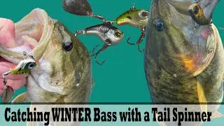 Catching WINTER Bass with a Tail Spinner