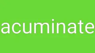 Acuminate Definition & Meaning