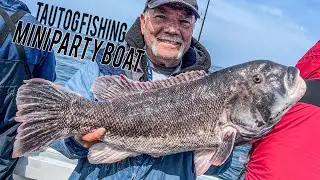 Mini Party Boat Fishing for MONSTER Tautog Offshore Block Island