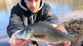 December WHITE PERCH Fishing Long Island!