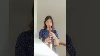 Dan Mac's Polka / recorder alto