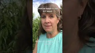 Creative ways to use Dill Weed