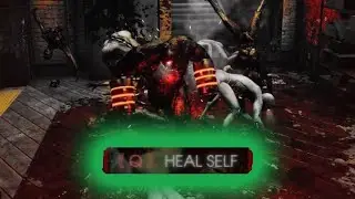 2v1 Fleshpound