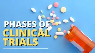 Clinical Trial Phases: Everything You Need To Know! | The Patient Story