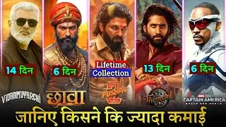 Box Office Collection Chhaava Day 6, Pushpa 2 Total Collection, Thandel, Vidaamuyarchi Collection