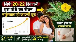 नपुंसकता दूर सत्यनाशी पौधा यौन स्वास्थ्य बनाये बेहतर | Sexual benefits of Argemone mexicana