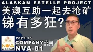 NVA-01澳洲都来帮美国抢着开矿/众股皆跌，我爆涨！锑有多缺？值得投资吗？#美股 #trading #money #mine