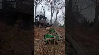 Tree Pruning in Elizabeth NJ-Tree Pross LLC in Elizabeth NJ