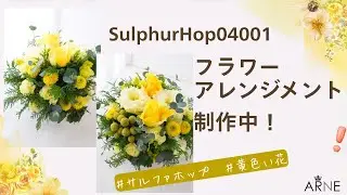 Paprika S0901