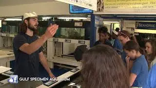 GSML Holiday Spot 60 sec
