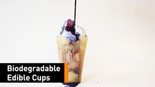 Loliware: The First And Only Biodegr(edible) Cups