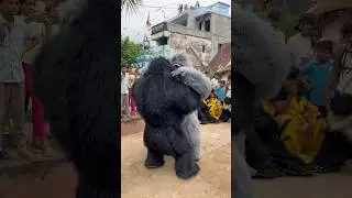 Varsha Pai Gorilla 🦍 dancing 😱#status #trending #video #youtube #explore #love