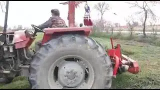 Fresh Cut Of Rhodes grass hay Available single press double Press