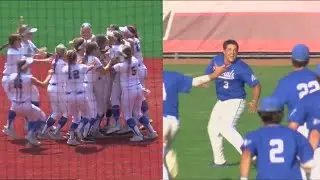 Anthony Wayne making history with baseball, softball teams making state championship runs simultaneo