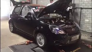 Ford ka 1.6 zetec turbo (DINAM&Ocirc;METRO)