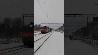 Приветливый вл10у-905 с перегоняемыми синими тэм18дм-3620,3621 проезжает пл.Повадино #ржд #бмо